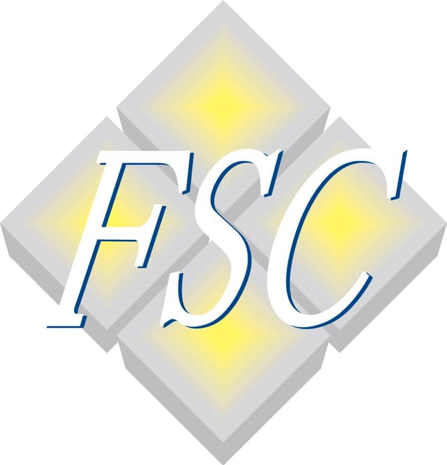 First system consulting